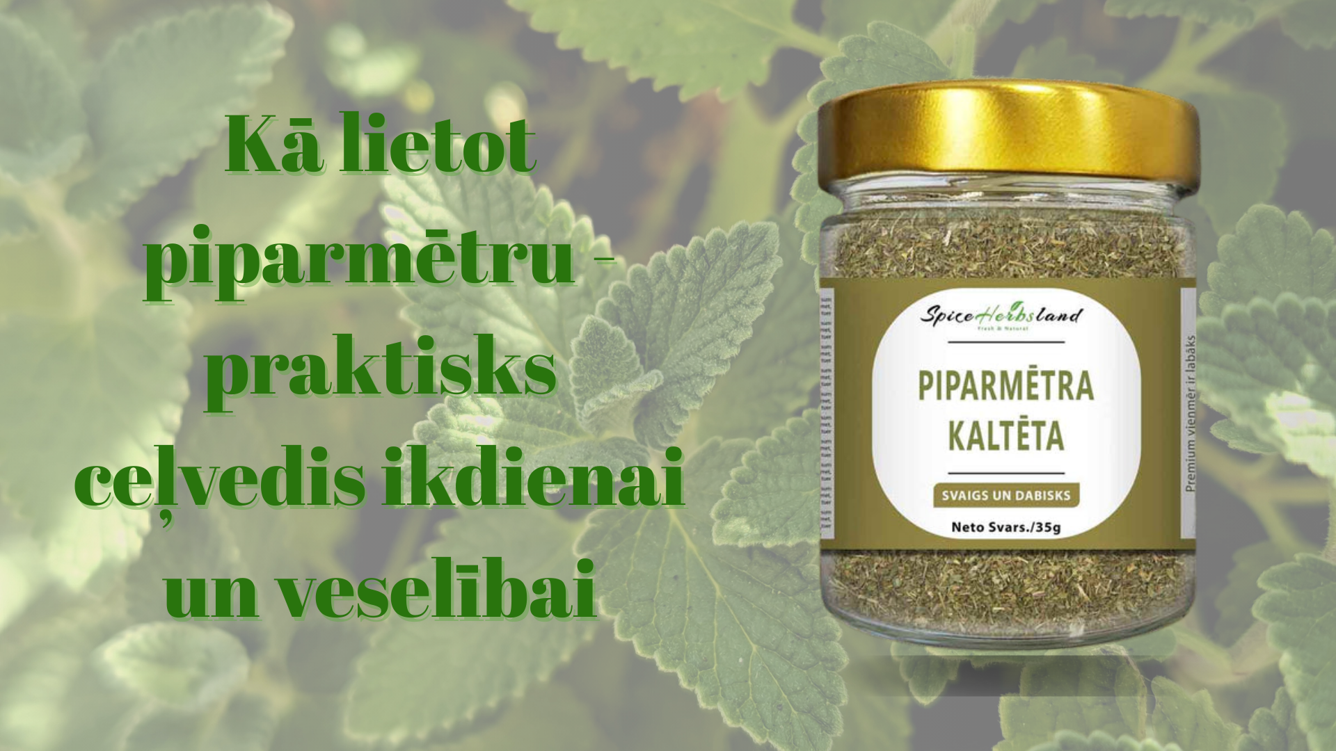 Kā lietot piparmētru - praktisks ceļvedis ikdienai un veselībai