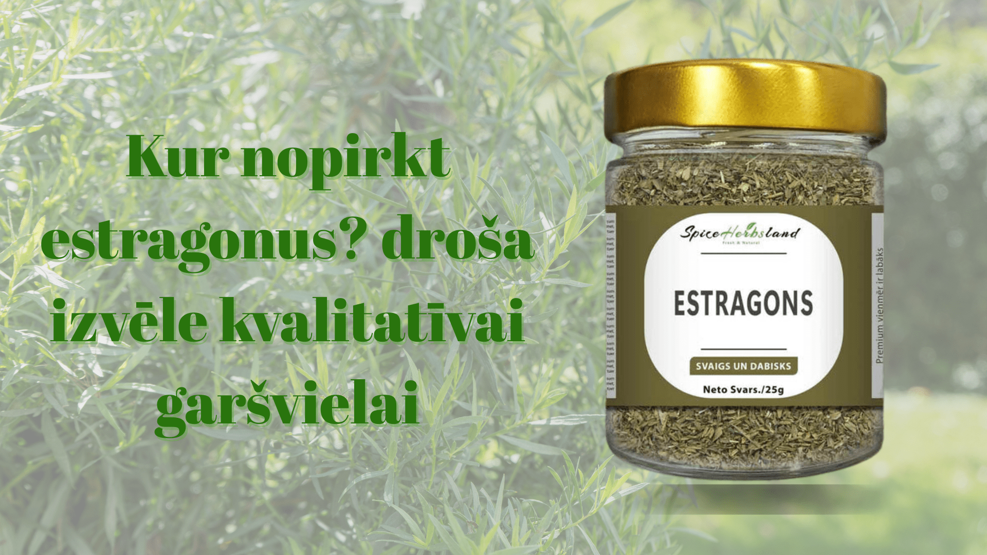 Kur nopirkt estragonus? droša izvēle kvalitatīvai garšvielai