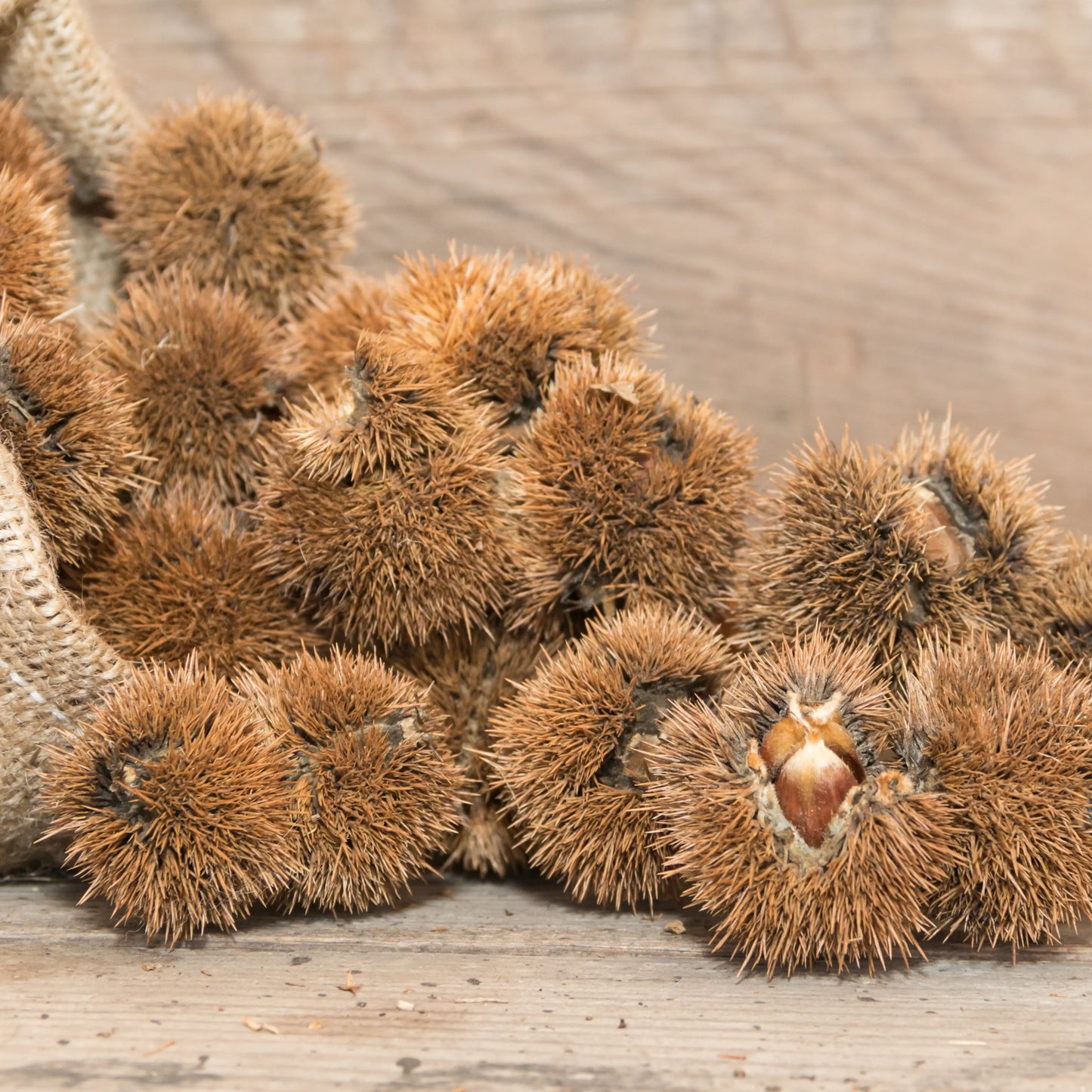 labākā rīcineļļa