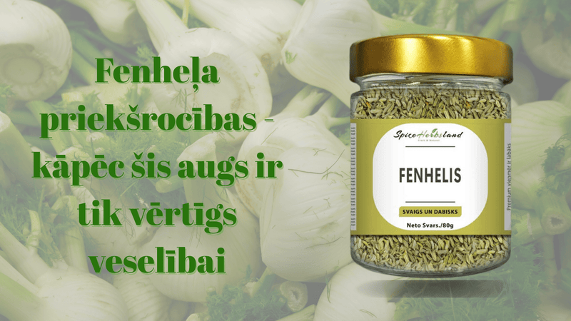 Fenheļa priekšrocības - kāpēc šis augs ir tik vērtīgs veselībai