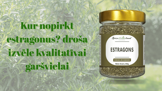 Kur nopirkt estragonus? droša izvēle kvalitatīvai garšvielai