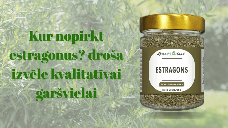 Kur nopirkt estragonus? droša izvēle kvalitatīvai garšvielai