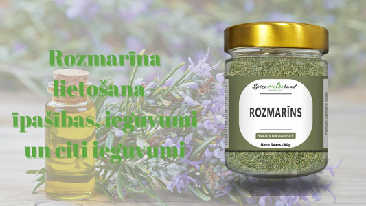 Rozmarīna lietošana - īpašības, ieguvumi un citi ieguvumi