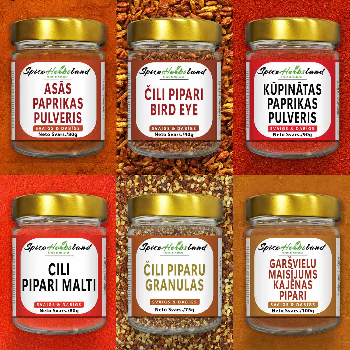 Čili Kolekcija - 6 Gab. Iepakojums