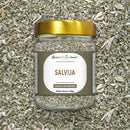 Salvija